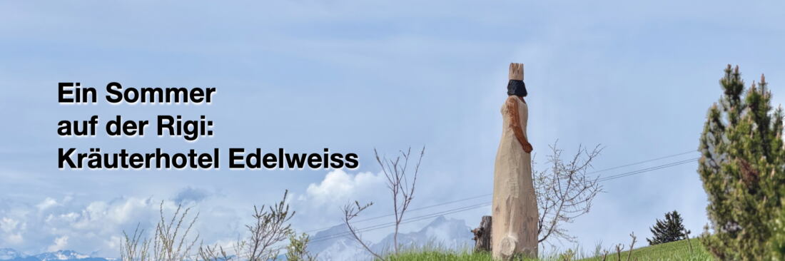 Marcel Bernet holzbildhauer figürlich holzskulptur sculptor figurative wood art kettensäge chainsaw motorsäge rigi edelweiss kaltbad staffel