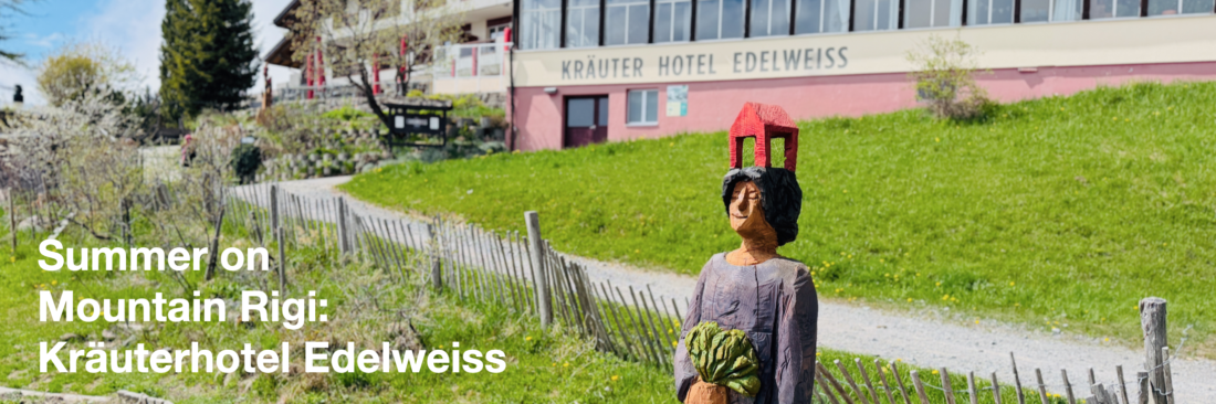 Marcel Bernet holzbildhauer figürlich holzskulptur sculptor figurative wood art kettensäge chainsaw motorsäge rigi weggis luzern edelweiss art gartenhotels